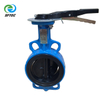 Ductile Iron Body CF8 SS Disc Concentric Butterfly Valve