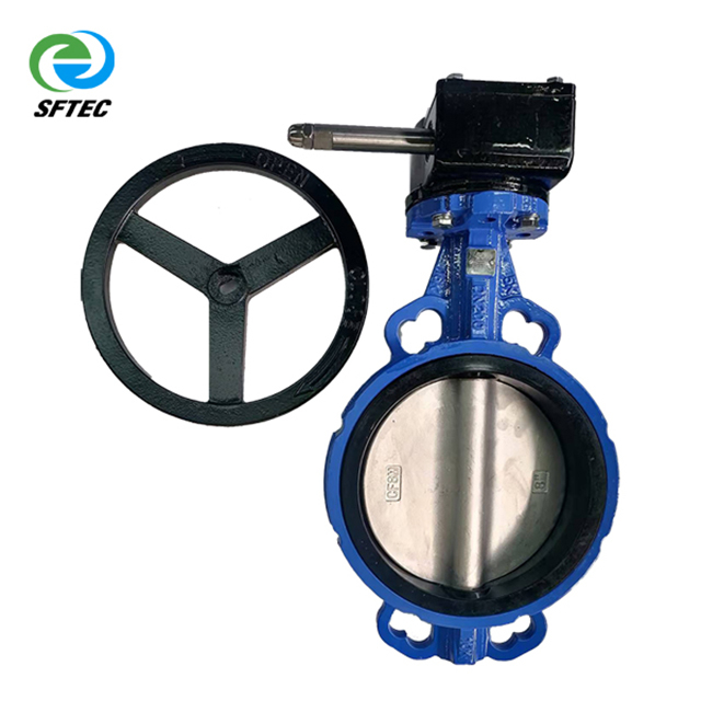 2.gear wafer butterfly valve DI+CF8+EPDM DN250 (2)-G0005 