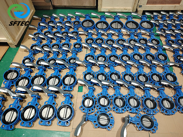 4.lever wafer butterfly valve DI + CF8 + EPDM family-G0005