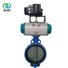 5. pneumatic wafer butterfly valve w TISSIN positioner DI+CF8+EPDM DN250 (1) -G0005 