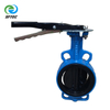 2.lever wafer butterfly valve DI+NYLON+NBR DN100 (2)-- G0001 