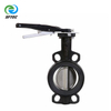 Lever Wafer Ductile Iron Body CF8 SS Disc Concentric Butterfly Valve