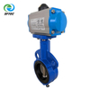 1.pneumatic wafer butterfly valve DI+CF8+EPDM DN65-G0007 