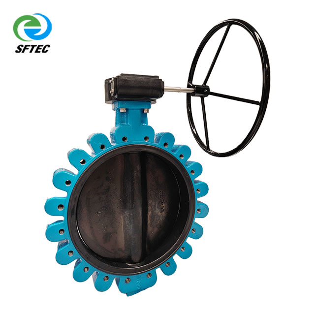 4 gear lugged butterfly valve ductile iron+nylon+NBR DN500 (1) 