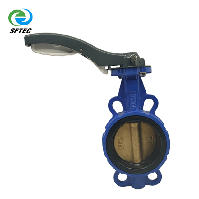 4.lever wafer butterfly vale DN100 ductile iron (3)-G0005 